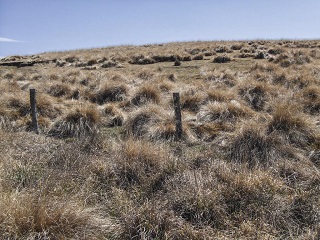 ALG photographer Greg Reid DPI