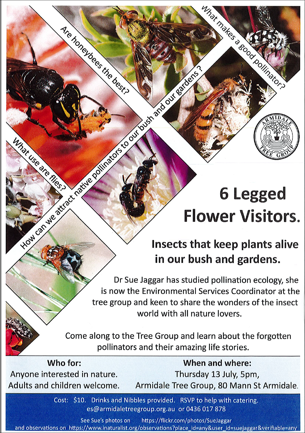 BEEFLYER