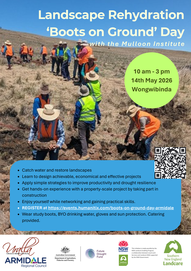 Mulloon Boots on Ground Day 14May26 FINAL 640p
