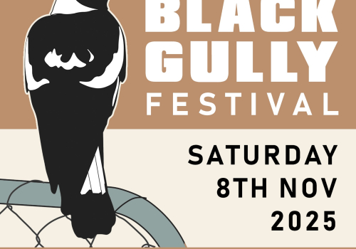 Black Gully Festival 2025