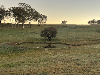 A Call Out for Interest - Farm Dam Enhancement