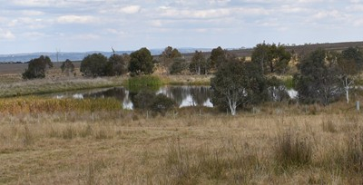 Southern New England Landcare Launches First Ever Future-Ready Farm Dams Project