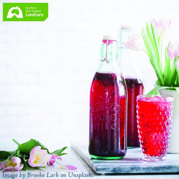 SNELandcare Christmas Celebration